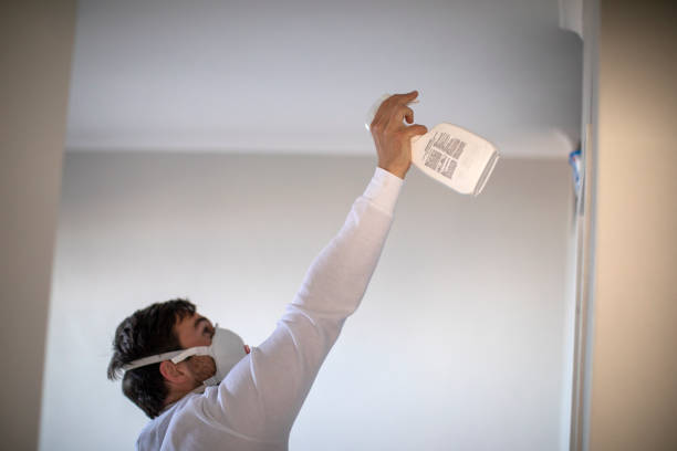 Best Mold Damage Repair  in Carlisle, OH