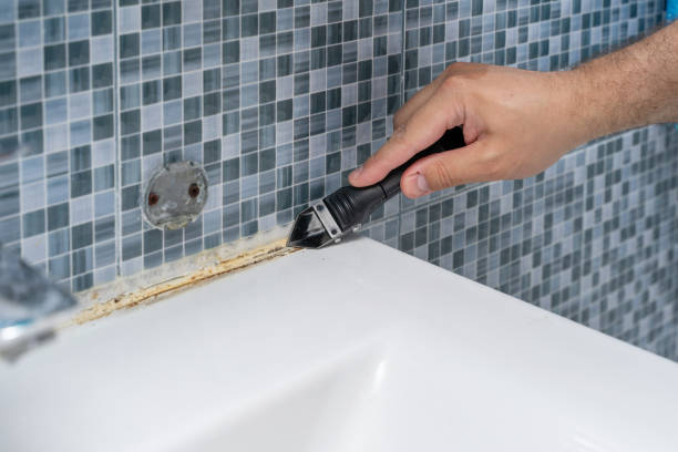 Best Mold Testing  in Carlisle, OH